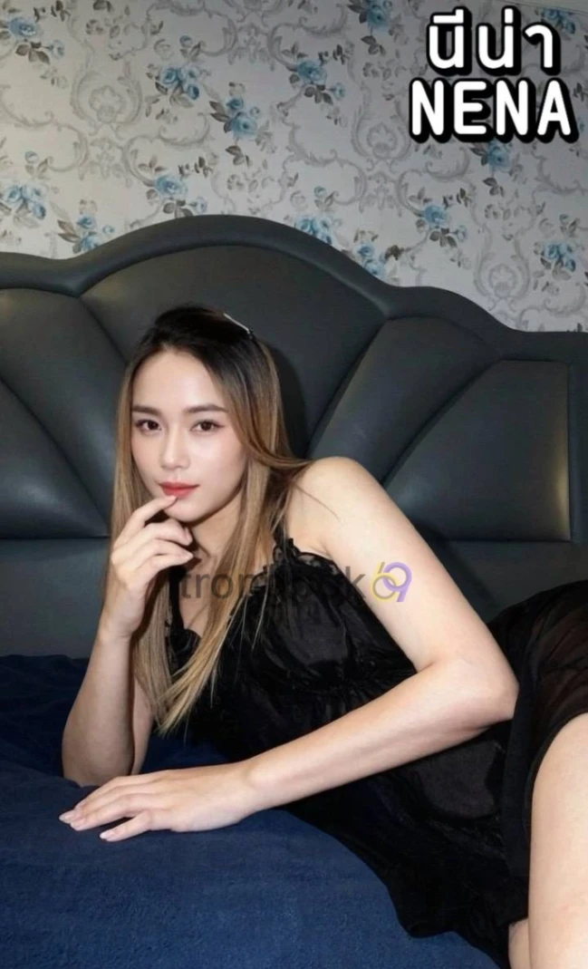 นีน่า : NENA 3
