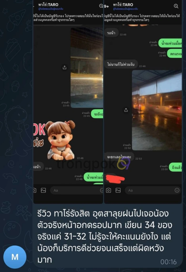 ทาโร่ : TARO  9